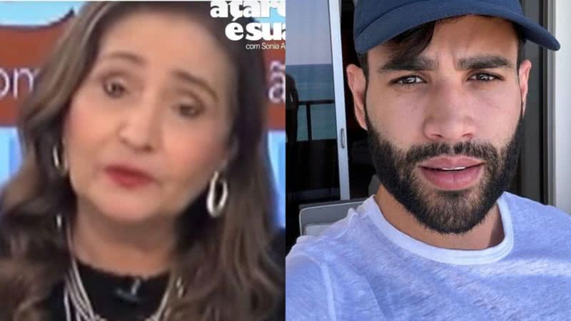 Sonia Abrão dá opinião polêmica sobre o caso do filho de Gusttavo Lima - Reprodução/Instagram