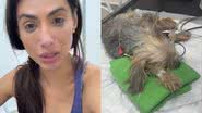 Flávia Noronha se desespera com seu cachorro - Reprodução/Instagram