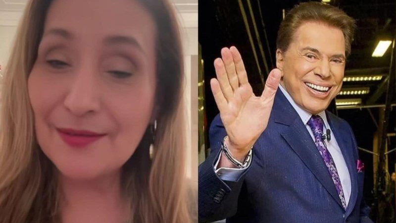 Sonia Abrão faz homenagem para Silvio Santos - Reprodução/Instagram