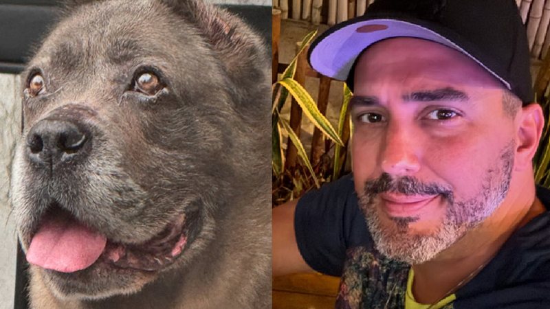 André Marques e sua cachorra - Foto: Reprodução/Instagram