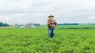 Dora Zanin revela mais detalhes de legado com pioneirismo no agronegócio brasileiro - Divulgação