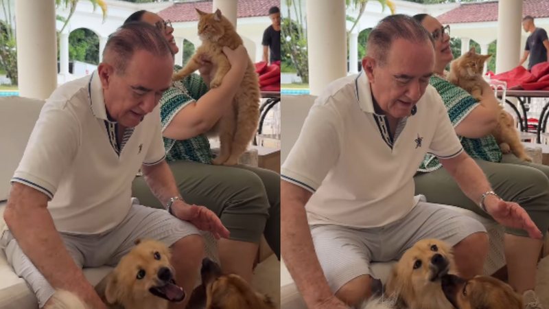 Renato Aragão e a esposa, Lilian Aragão, brincam com os cachorros de estimação - Foto: Reprodução/Instagram