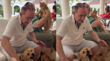 Renato Aragão e a esposa, Lilian Aragão, brincam com os cachorros de estimação - Foto: Reprodução/Instagram