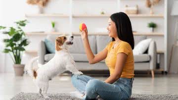 Brincar com o animal ajuda a melhorar o comportamento dele (Imagem: Prostock-studio | ShutterStock)