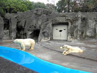 Uma visita ao zoológico de Buenos Aires, Argentina