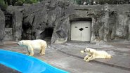 Uma visita ao zoológico de Buenos Aires, Argentina