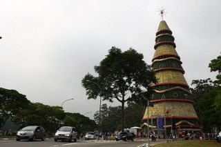 A árvore de Natal do Ibirapuera, um presente do Grupo Santander e da Prefeitura Municipal aos paulistanos, vai permanecer montada até o dia 6 de janeiro - Caio Guimarães