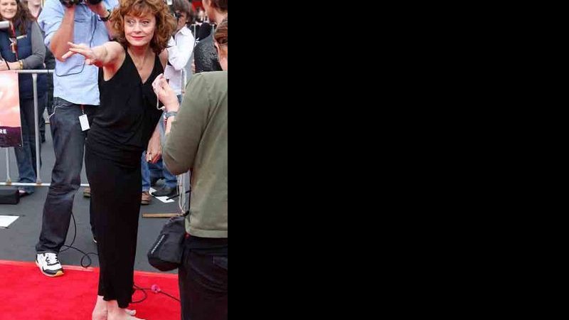 Susan Sarandon - Getty Images