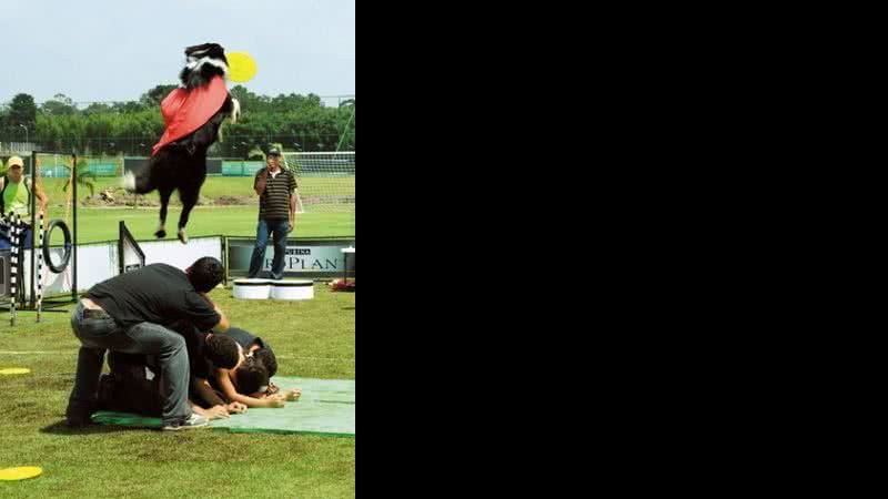 Impressionante show canino - JOÃO PASSOS / BRASIL FOTOPRESS