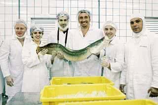 Chefs Christophe Besse, Ana Luiza Trajano, Rodrigo Oliveira, Emmanuel Bassoleil e Paulo Zanchin estudam características do peixe pirarucu com Reinaldo Duarte Jr., da Mar & Terra, em Itaporã, MS. - DAVID BRAZIL, DOUGLAS GAMA, ILANA BESSLER, JULIO VILELA, LEANDRO NUNES, MARCOS FERNANDES, MARCUS CACAIS, MARINA DEIENO, NATALIA RAMOS, ROSA MARCONDES E TOMAS SUSEMIHL