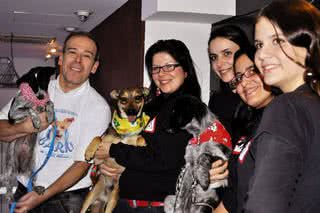 O produtor João Federici, Angélica Perez, Luciane Sarraf, Elisangela Azevedo e Rafalea Vianna, com os cães Faísca, Feliz e Fumaça, veem a peça no Teatro Nair Bello, SP. - JOÃO PAPA, LORENZO FABRI, NATÁLIA MANCIO, REUTERS, SHEILA GUIMARÃES E SILAS FONSECA