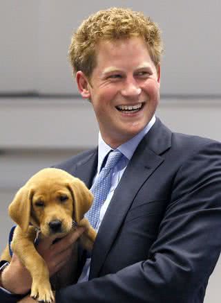 Príncipe Harry visita a instituição Canine Partners - Getty Images