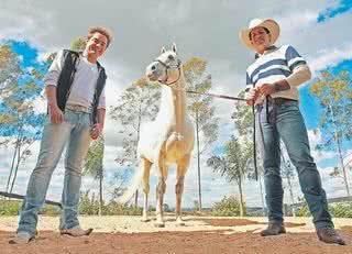 No Rancho das Américas, em Porto Feliz, SP, os amigos posam com o cavalo SC Chiseled In Stone, garanhão do haras da família de Sorocaba. - ADILSON FELIX