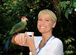 Alimenta o turaco da crista vermelha, no Discovery Cove. - BLAD MENEGHEL