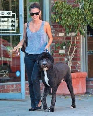 Rachel Bilson e seu fofo cão - BRAINPIX