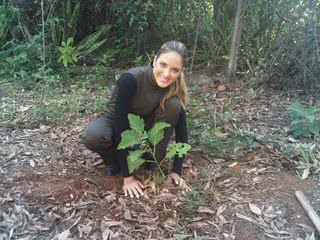 Ticiane Pinheiro planta árvore durante gravação do programa 'Hoje Em Dia' - Reprodução / Twitter