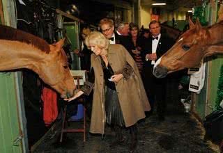 Camilla Parker Bowles e sua eterna paixão pelos cavalos - REUTERS