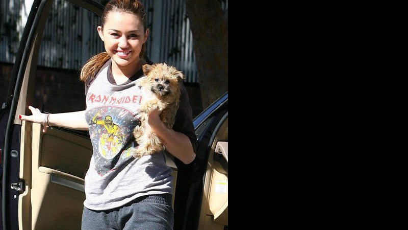 Miley Cyrus e seu novo cãozinho - City Files