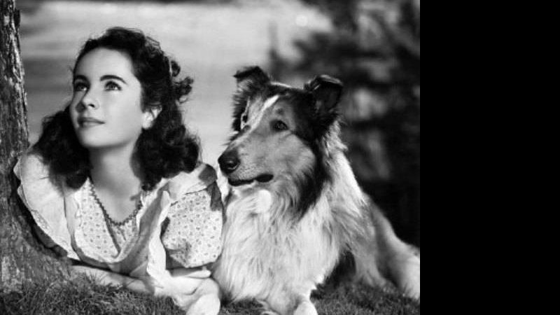 Elizabeth Taylor aos 11 anos em Lassie - Reprodução