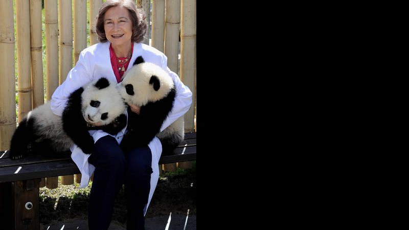 Rainha Sofia com pandas em zoológico de Madrid, Espanha - Getty Images