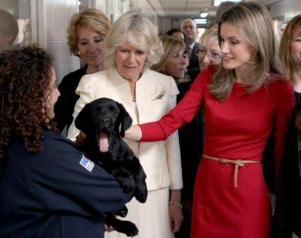 Princesa Letizia e duquesa Camilla visitam centro de treinamento para cães guia - Getty Images