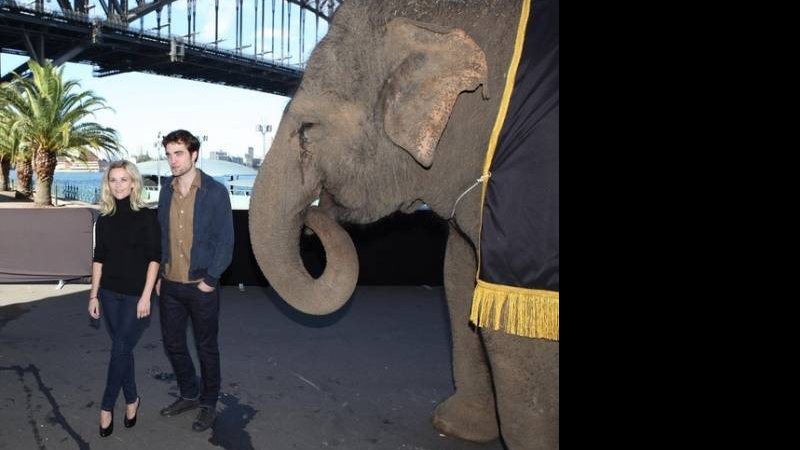 Reese e Pattinson ao lado de um elefante em Sydney - City Files