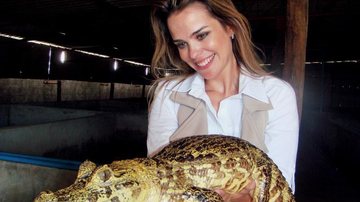 A bela mostra na TV a fauna do Pantanal.