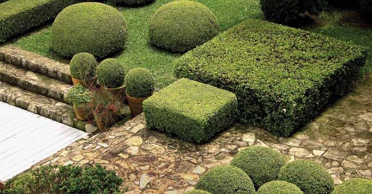 Plantas redondas e quadrado menor de buxinho, quadrado maior de azaleia, grama São Carlos, vasos de cerâmica com flor de coral e azaleia e piso de pedra bolão - Renato Elkis