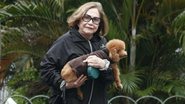 Nathália Timberg passeia com seu cachorro pelo Rio de Janeiro - Rodrigo dos Anjos / AgNews