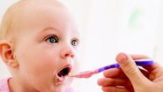 A primeira papinha, conheça um mundo de sabores para o seu bebê - Shutterstock e Divulgação