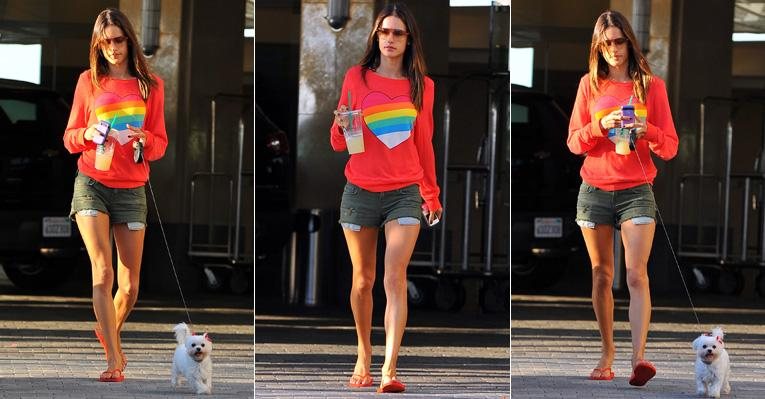 Alessandra Ambrosio passeia com sua cachorrinha Lola - Splash News