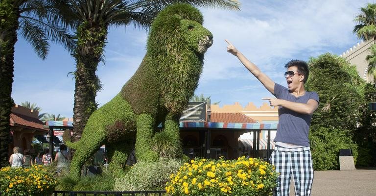 Pe Lu brinca com a estátua em grama do leão na entrada do Busch Gardens.