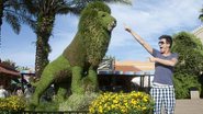 Pe Lu brinca com a estátua em grama do leão na entrada do Busch Gardens.