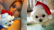 Thais Fersoza com seu cachorrinho - Reprodução / Twitter