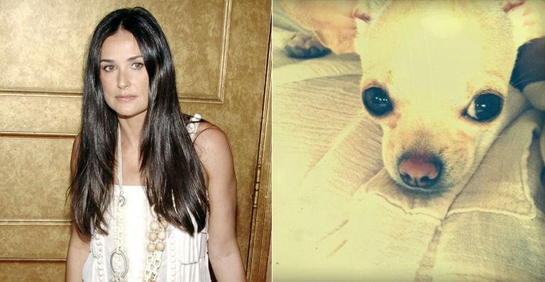 Demi Moore e um de seus novos cachorrinhos - Getty Images; Reprodução / Twitter