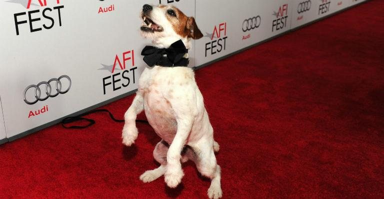 Uggie - Getty Images