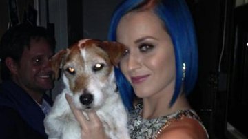 Katy Perry e Uggie, o cão de 'O Artista' - Reprodução/Twitter