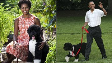 Michelle e Barack Obama com Bo - Divulgação e Getty Images