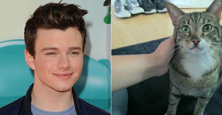 Chris Colfer e Brian - Getty Images e Reprodução/Twitter