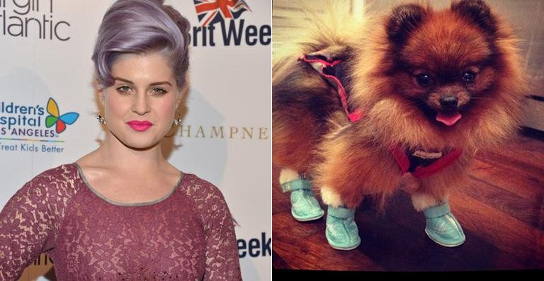 Kelly Osbourne e a cachorrinha Story - Getty Images; Reprodução / Twitter