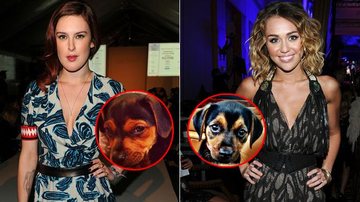 Rumer Willis e Miley Cyrus com seus novos cães - Getty Images; Reprodução/Twitter