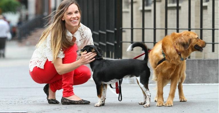 Hilary Swank mima seus cãezinhos em Nova York - The Grosby Group