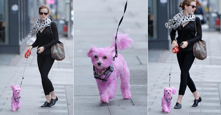 Emma Watson passeia com cachorro cor de rosa pelas ruas de Londres - Grosby Group