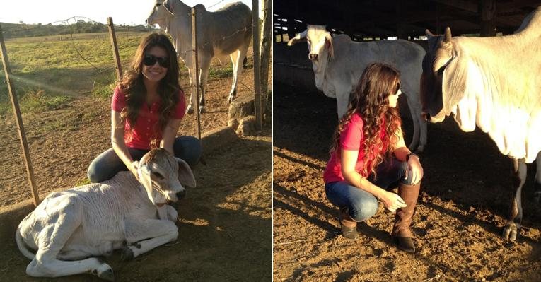 Paula Fernandes tira foto com animais em visita a fazenda - Reprodução / Twitter