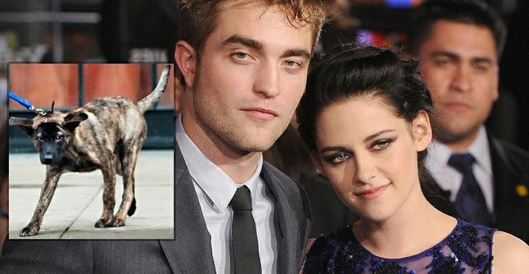 Robert Pattinson e Kristen Stewart; no destaque, o cãozinho Bear - Getty Images e Reprodução