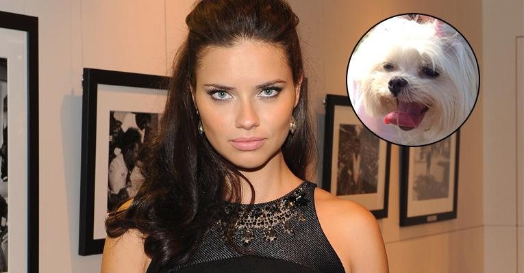 Adriana Lima perde a cachorrinha em Miami e faz apelo no Twitter - Getty Images