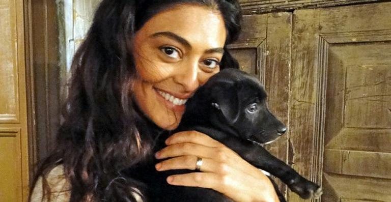 Juliana Paes brinca com cachorrinho nos bastidores de 'Gabriela' - Reprodução / TV Globo