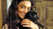 Juliana Paes brinca com cachorrinho nos bastidores de 'Gabriela' - Reprodução / TV Globo