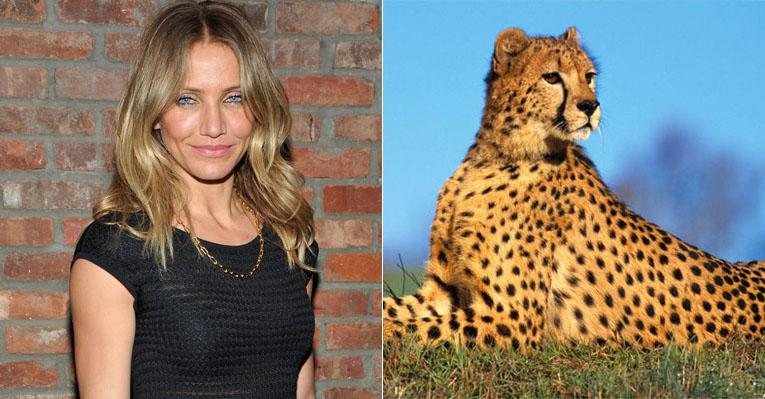 Em filme, Cameron Diaz divide cama com guepardo - Montagem