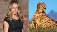 Em filme, Cameron Diaz divide cama com guepardo - Montagem